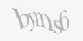 Захисний код